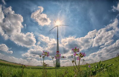 Centrale éolienne individuelle avec fleurs