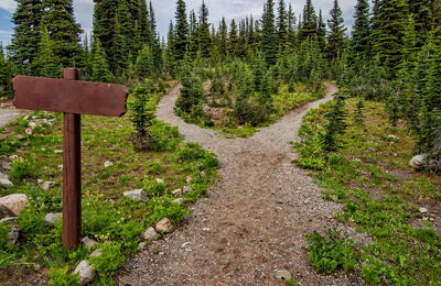 Sentier nature avec deux raisons